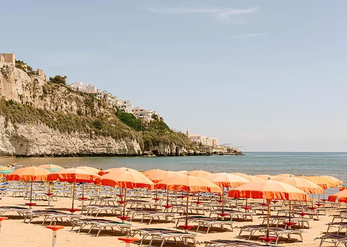 Degli Aranci