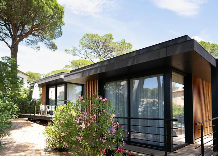 Hôtel accueillant les animaux: Le Confidentiel Hôtel