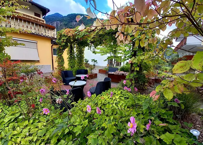 Hotel Garni Grüner Baum (Albero Verde)