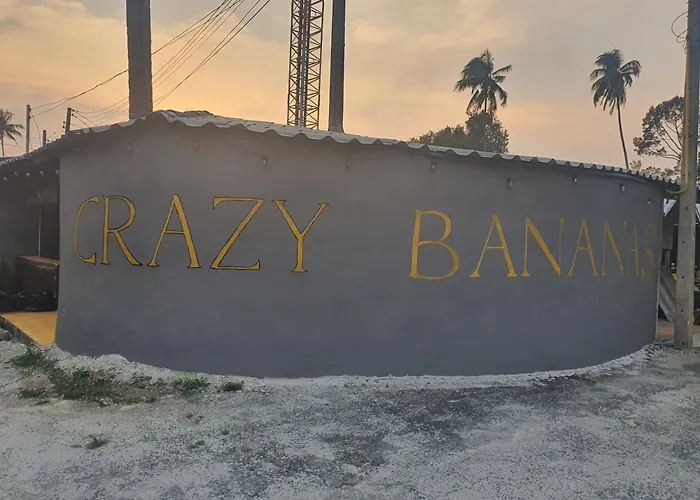 Crazy Bananas & Crazy Monkey