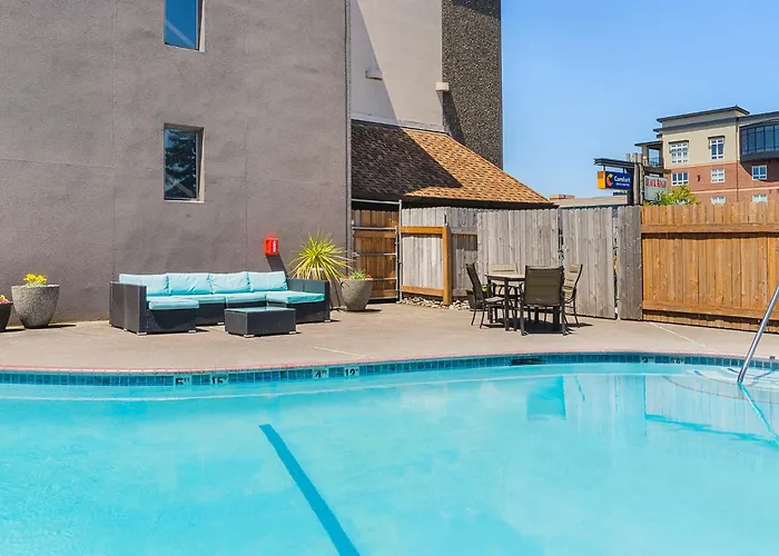 Pets Allowed Hotel Comfort Inn & Suites Vancouver Downtown City Center
