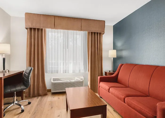 Pets Allowed Hotel Comfort Inn & Suites Vancouver Downtown City Center