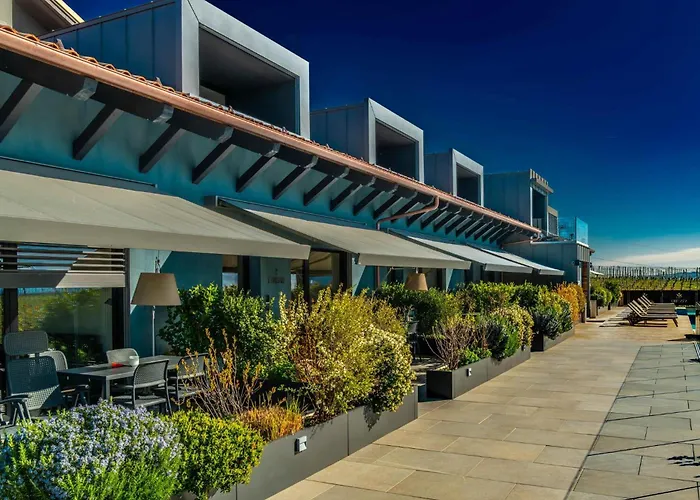 Vineho