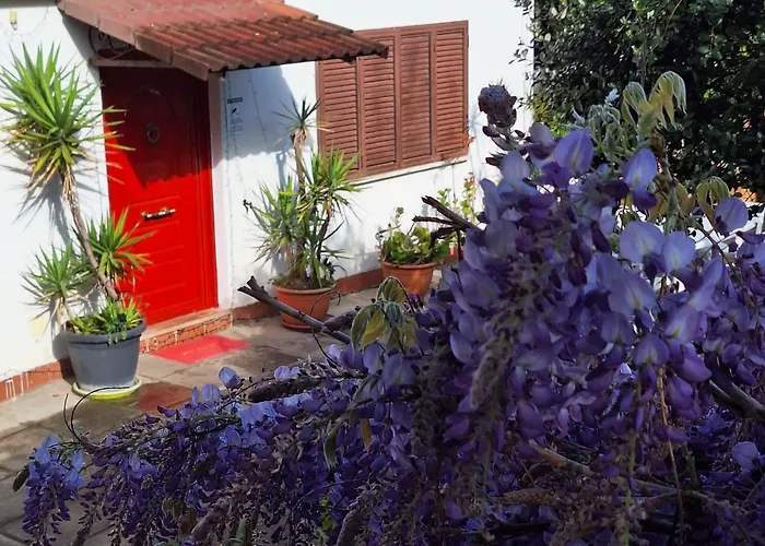 Giallo Limone B&B