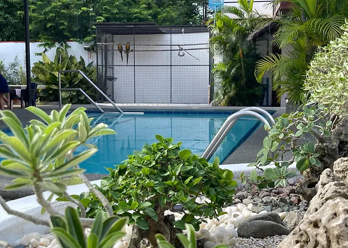 Parrot Resort Moalboal