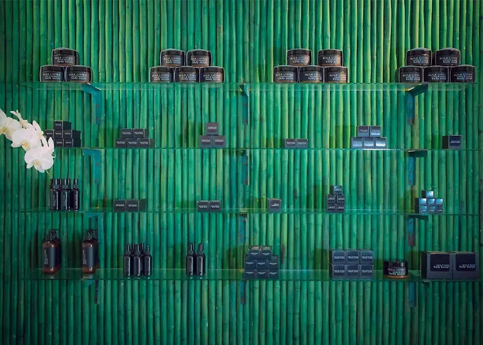 Spahotel: Alila Manggis