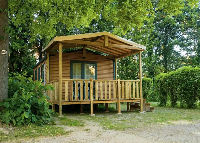 Hôtel accueillant les animaux: Camping les Avignon - la Laune