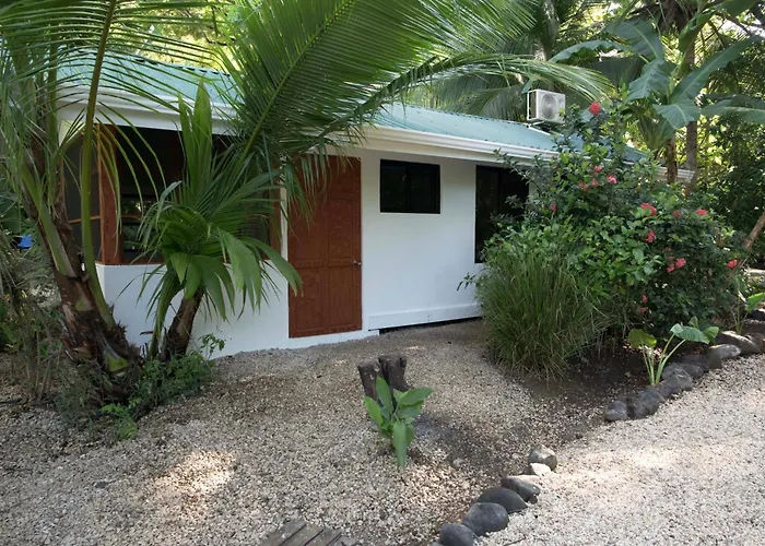 Jungles Edge Hotel, Jiu Jitsu, Muay Thai Retreat Center