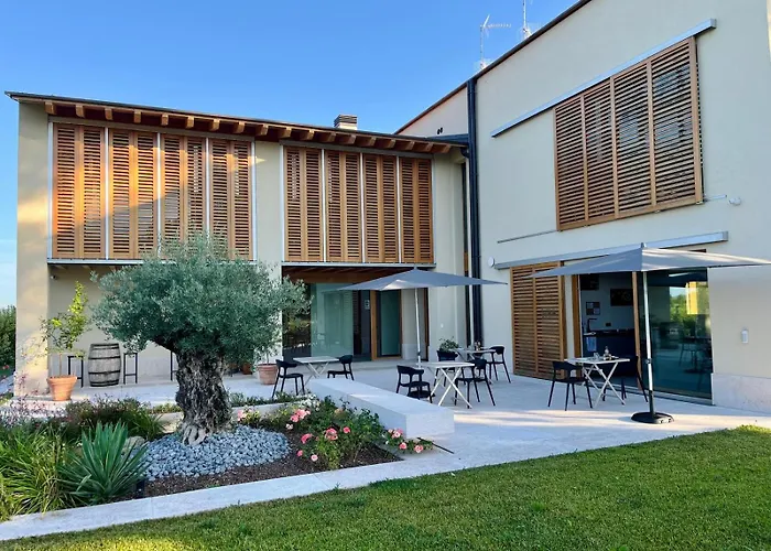 B&B Il Vigneto