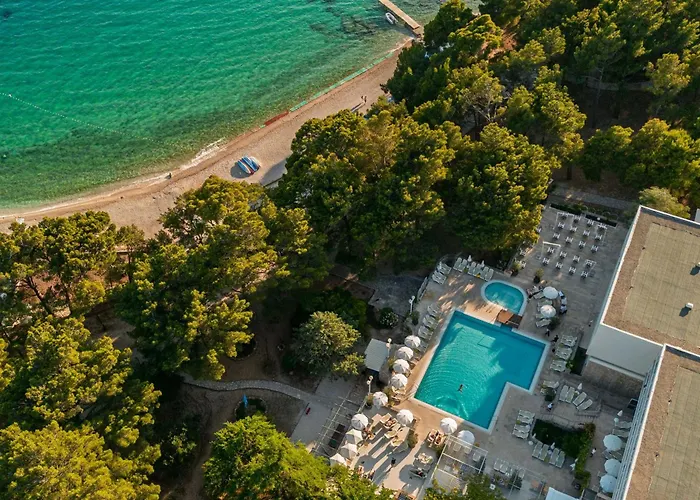 Bluesun Borak