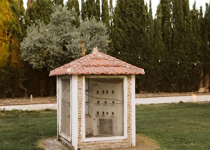Cortijo De Enmedio