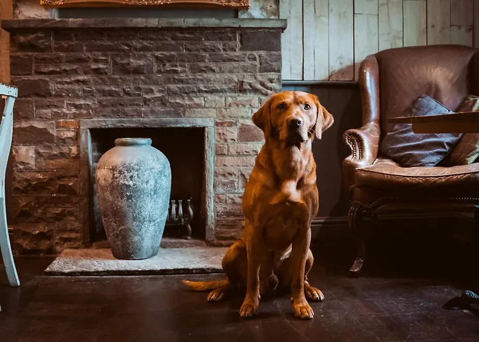 Boutique hotels Bulls Head - Holymoorside