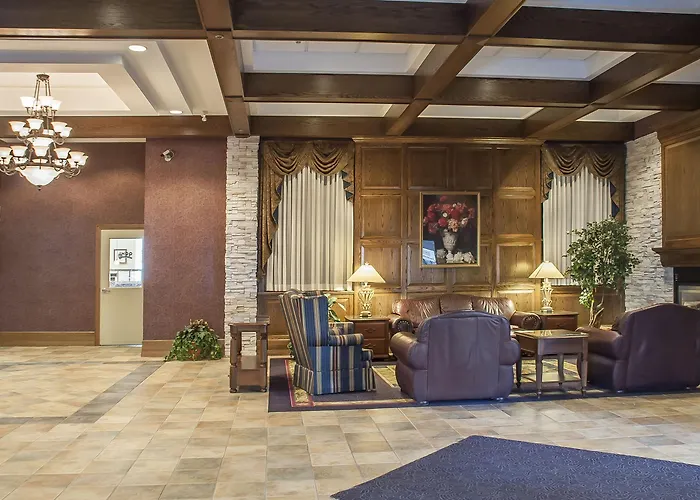 Comfort Inn Lundy'S Lane