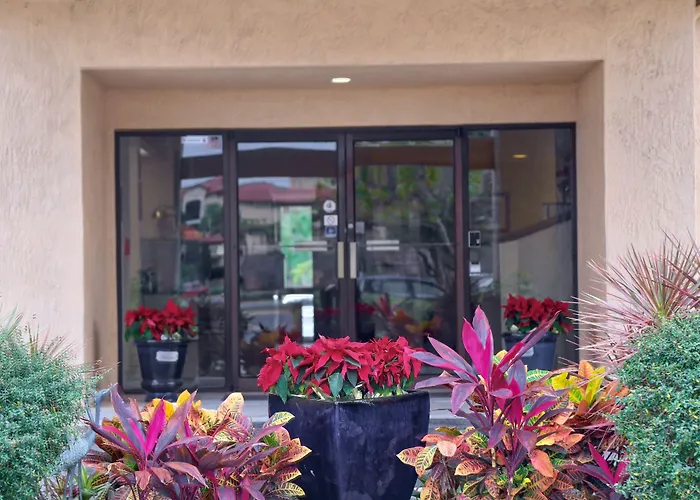 Resort: Destiny Palms Hotel Maingate West