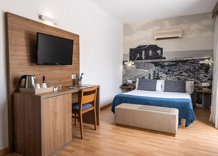 Huisdiervriendelijk hotel: Hotel Adonis Plaza