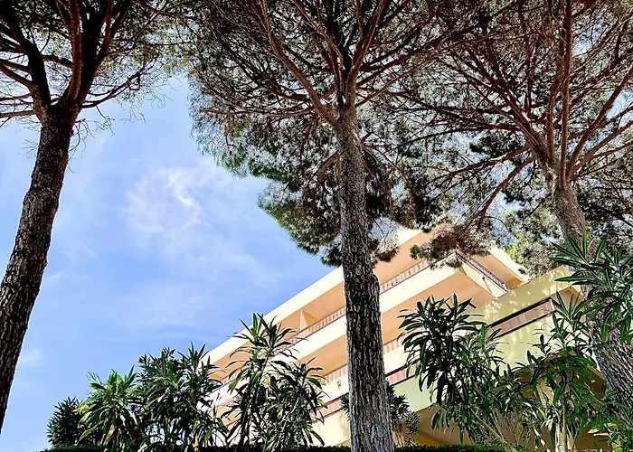 Familiehotel: Almadraba Park Hotel