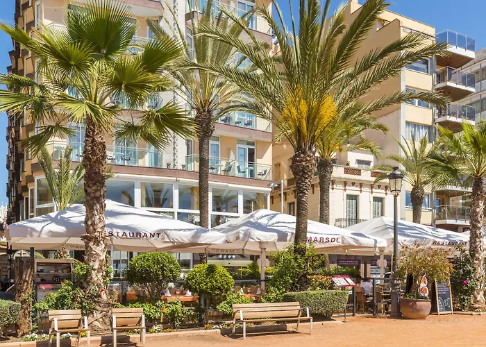 Hôtel accueillant les animaux: Hotel Marsol