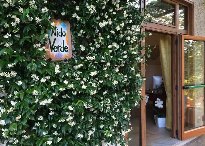 Nido