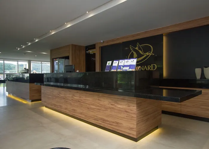 Hotel com jacuzzi: Le CanarD Joinville
