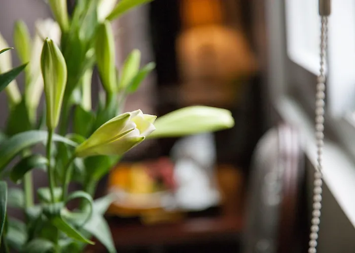 Dragon Pearl Hotel Hanoi