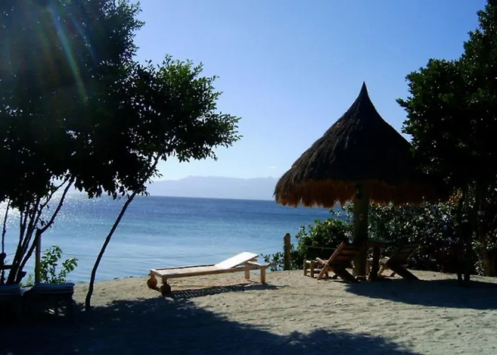 Luxury hotel only: Sea Turtle House Moalboal