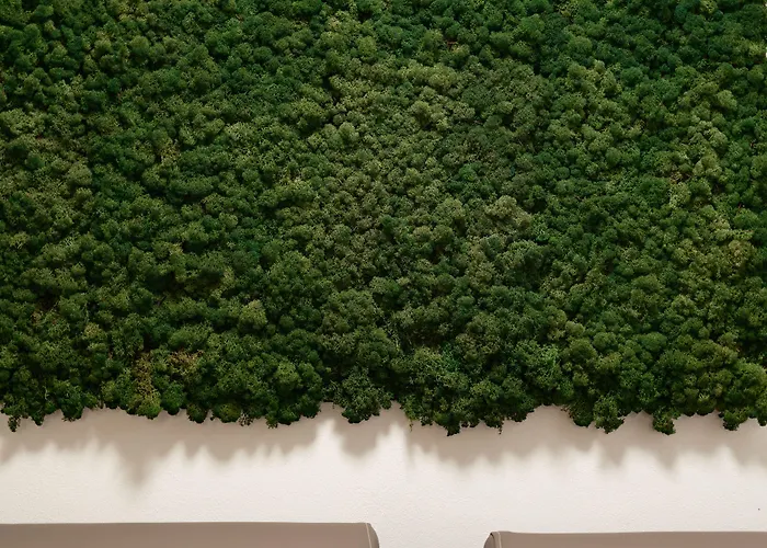 Hotel de 4 estrellas: Tramas Hotel & Spa