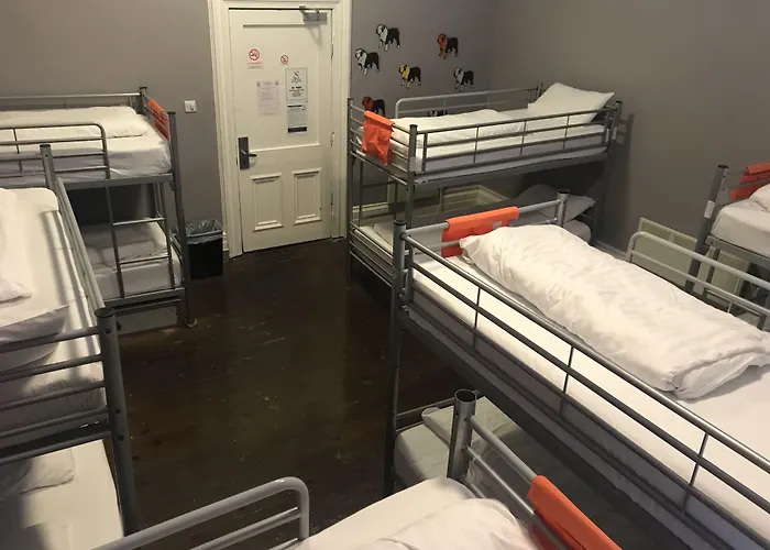 The Hostels Albatross