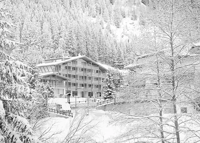 Hotel mit Hund Art Anterleghes - Gardenahotels