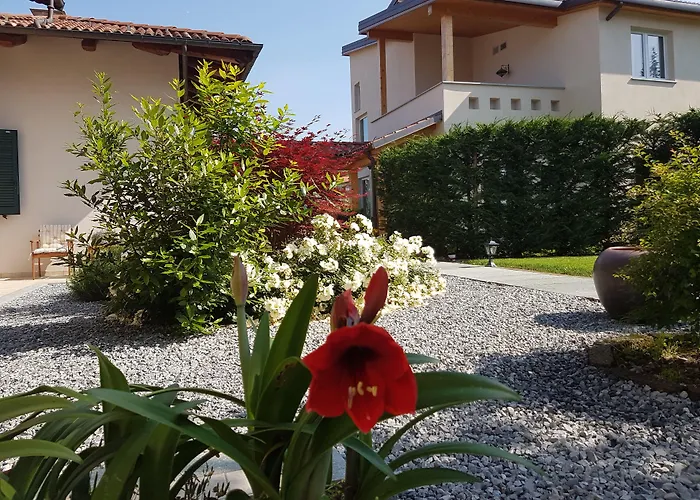 La Rosa Gialla Bio