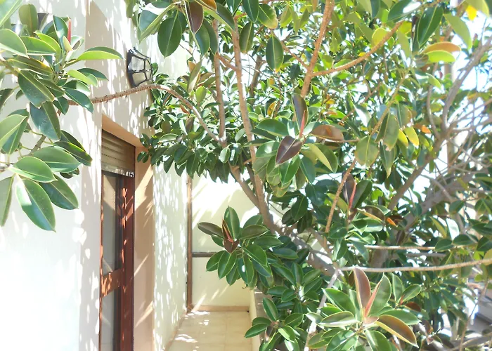 Cheap hotel: Hotel Tabby