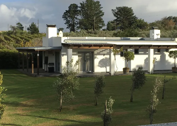 Hotel with pool: Klein Welmoed Luxury Guest House