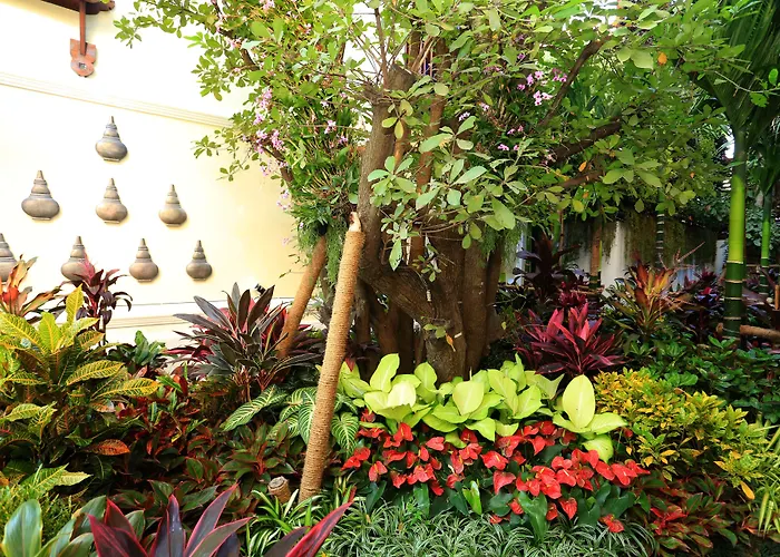 Viangluang Resort