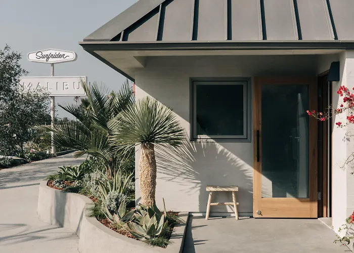 Surfrider