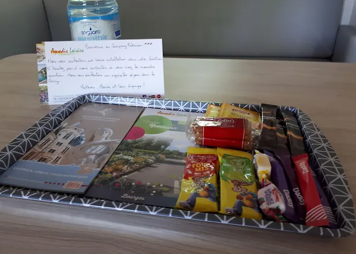 Hotel que admite mascotas: Camping Du Pont D'Avignon