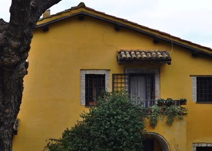  Il Gelso Nero