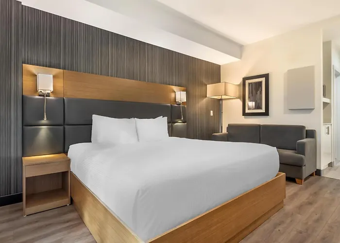 Pets Allowed Hotel Executive Residency By Best Western Calgary City View North