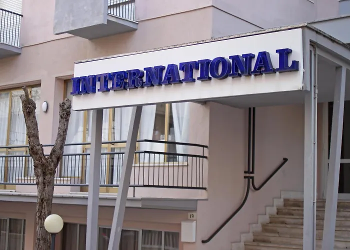 C-s International