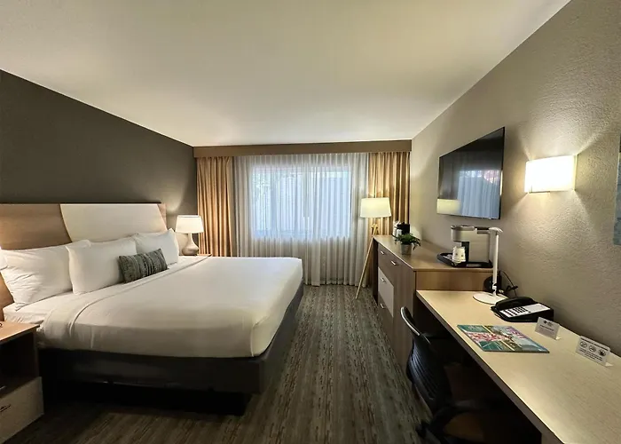 Pet Friendly hotel: Best Western Plus Atlantic Beach Resort