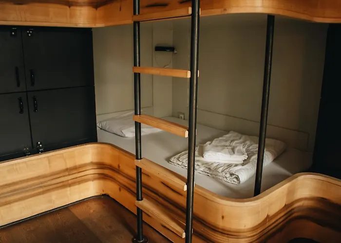 Huisdiervriendelijk hotel: King Kong Hostel