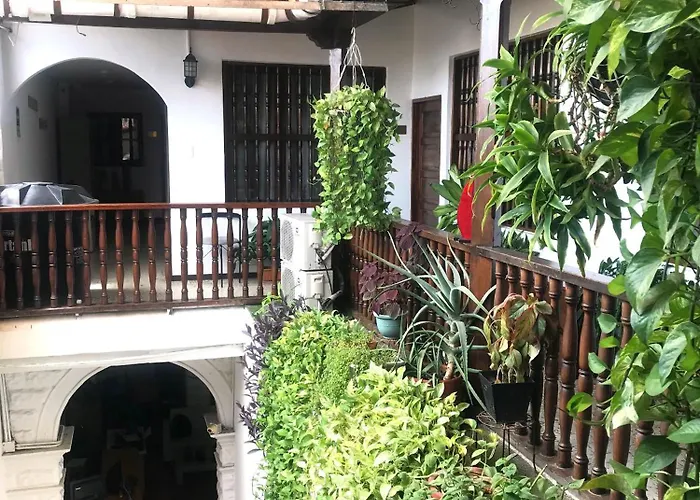  Santa Alejandría