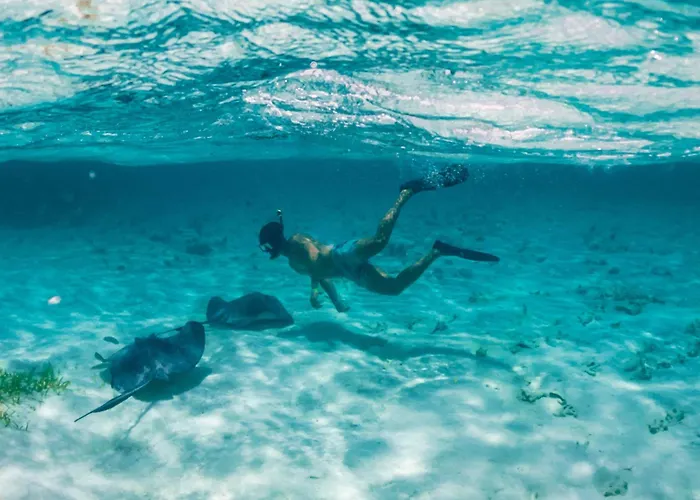 Luxury hotel only: Reef Haven Belize