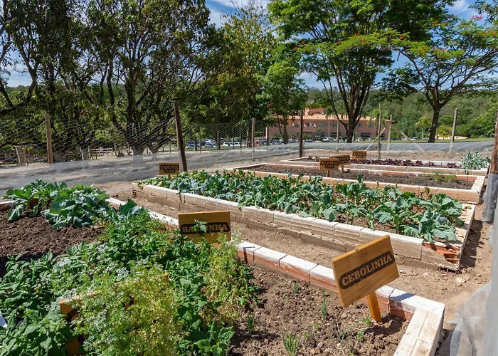  Fazenda Brisa Itu