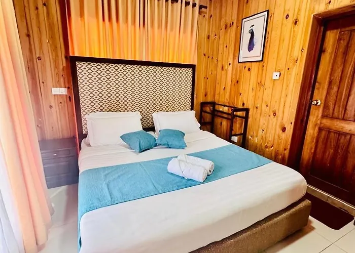 Single Tree Hotel