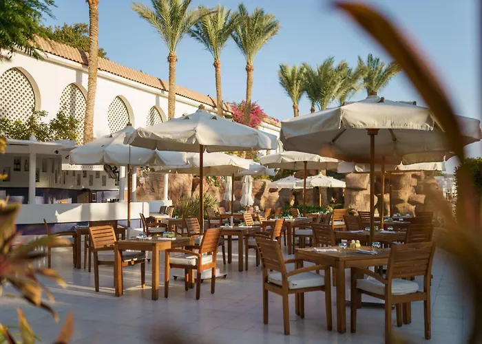 Beach Hotels Baron Palms Adults Friendly Only 16 Years Plus Boutique Style