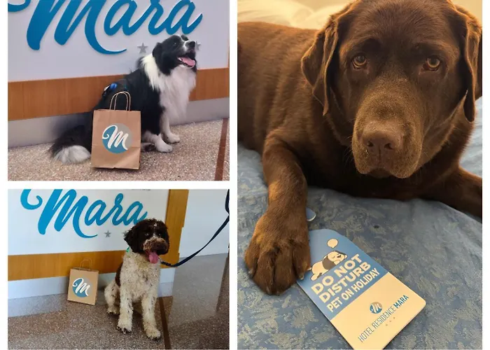 Hotel familiare: Hotel Residence Mara