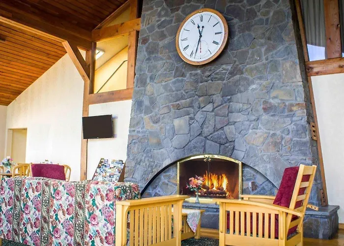 Pet Friendly hotel: Econo Lodge Inn & Suites Colonie Center Mall