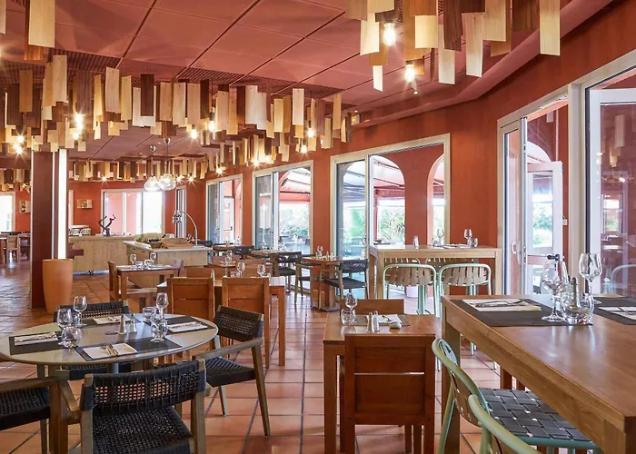 Hôtel accueillant les animaux: Ibis Thalassa Hyeres Plage