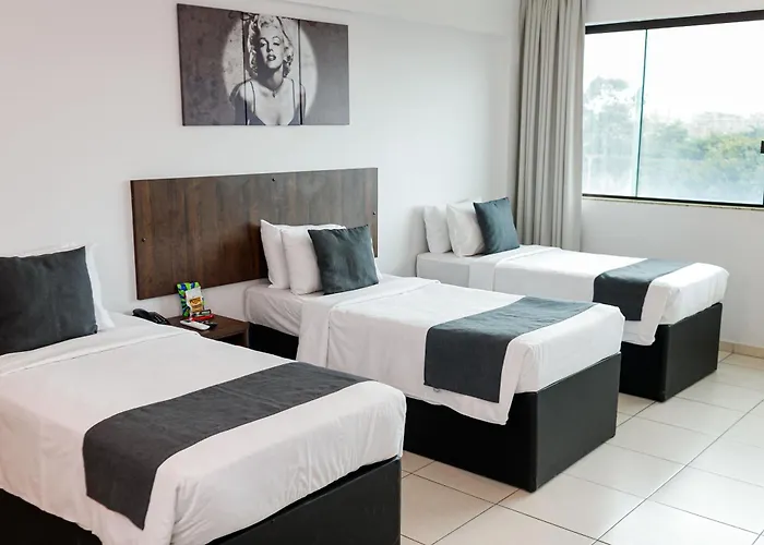Miami Hotel By H Hoteis - Business