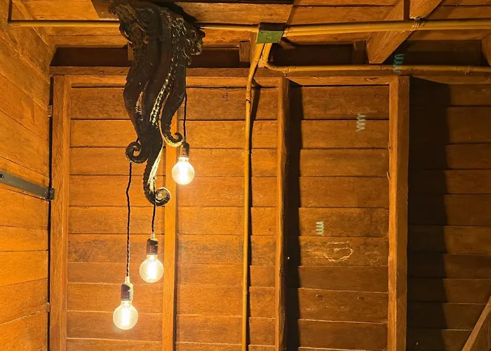 Krak-Inn Holbox - Pet Friendly