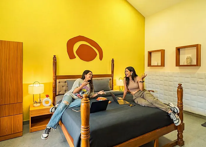 Pet Friendly hotel: The Hosteller Goa, Anjuna